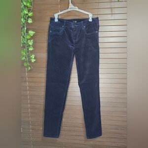 Edyson Hampton Skinny Cobalt Blue Velvet Mid-rise Women's Pants Size 29L